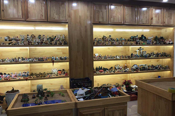 環(huán)境展示